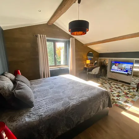 Confort, Chic, Au Calme - Netflix * Ecully